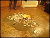 DSC04449.JPG